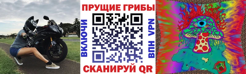 Галлюциногенные грибы Psilocybine cubensis  blacksprut сайт  Щёкино 